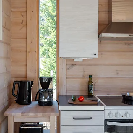 Remote Lakeside Moekki | Wood Sauna & Forest Views Ferienhaus Padasjoki